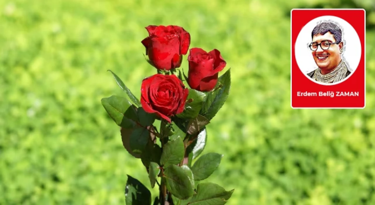 Lağımda gül yetiştirmek