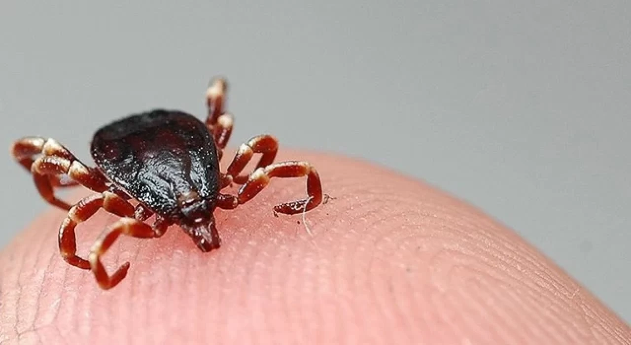 Samsun’da KKKA hastalığı teşhisi konulan kadın öldü