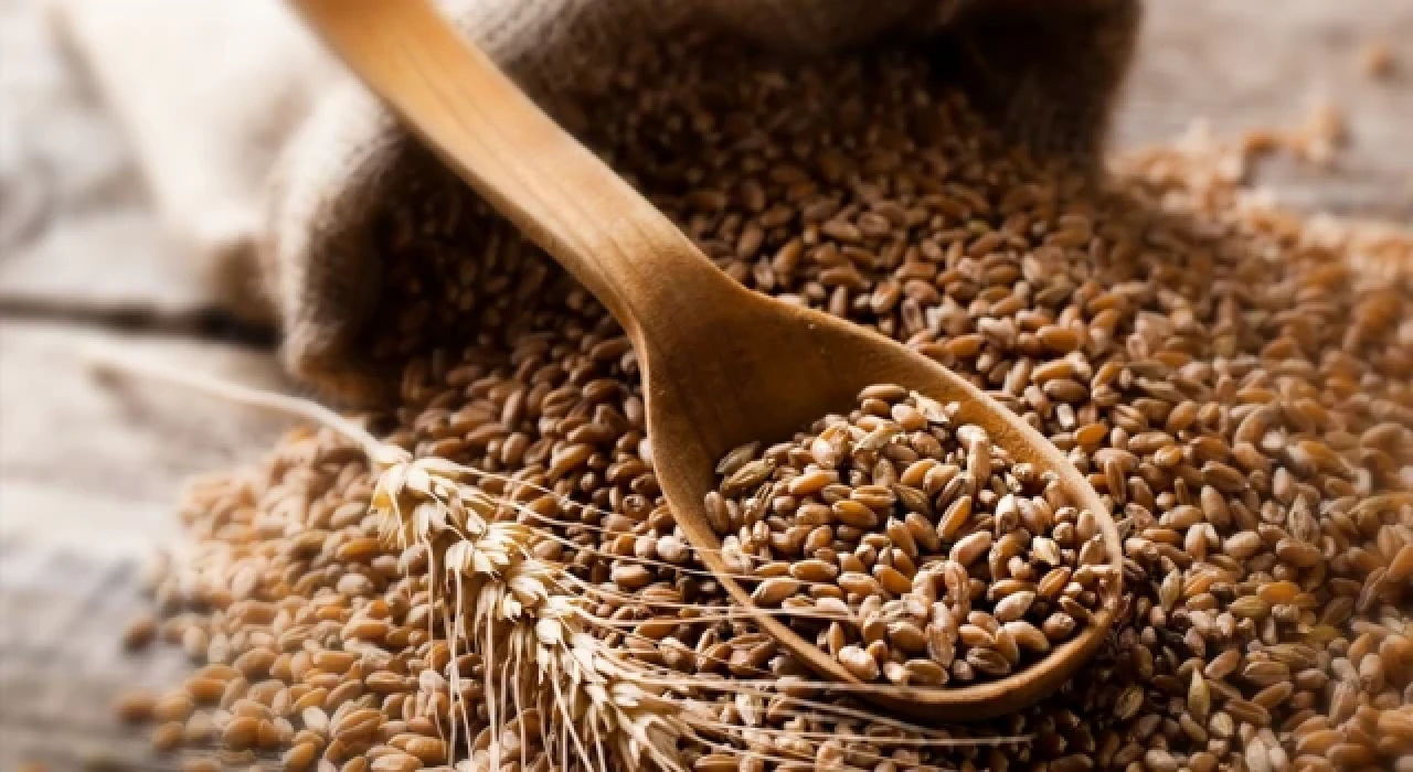 Tahıl koridoru: İstanbul'daki Ortak Koordinasyon Merkezi faaliyete geçti