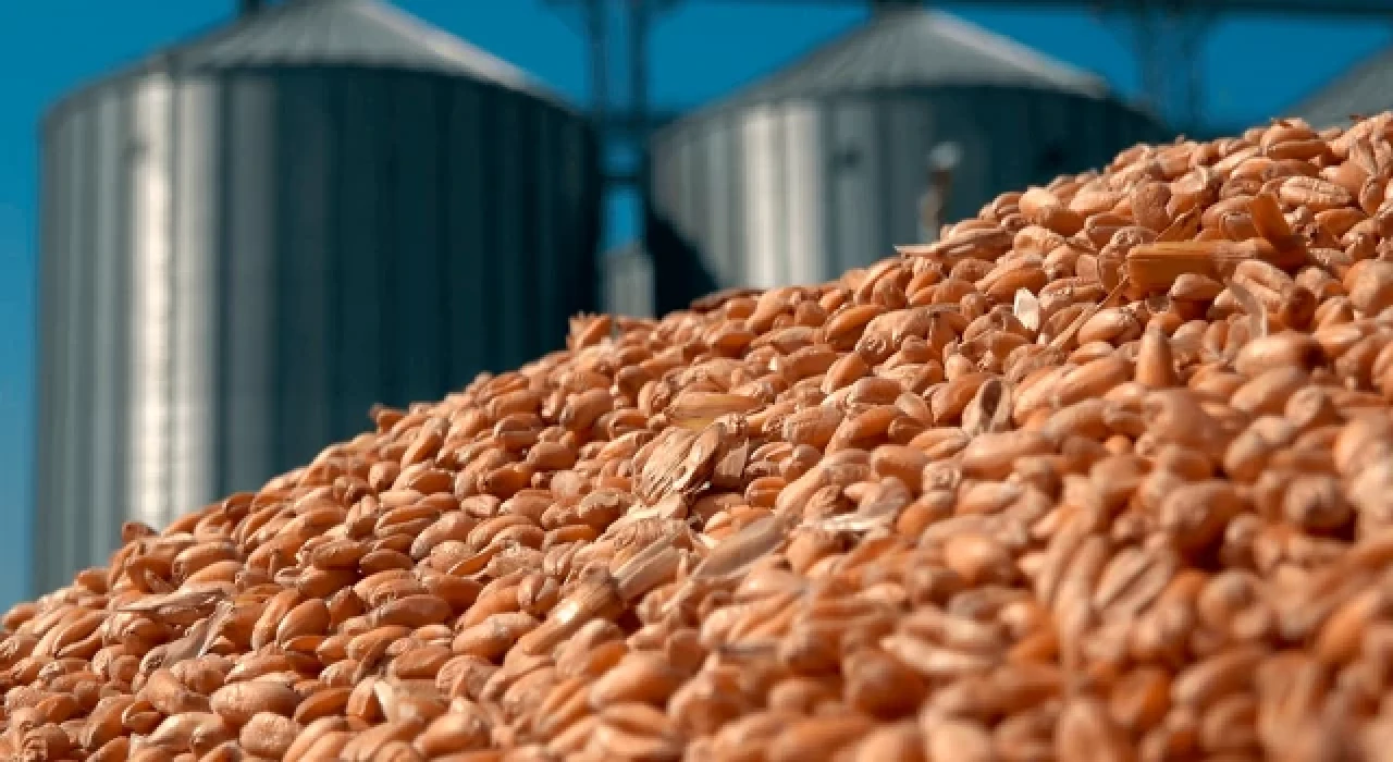 Tahıl krizi zirvesi İstanbul’da olacak