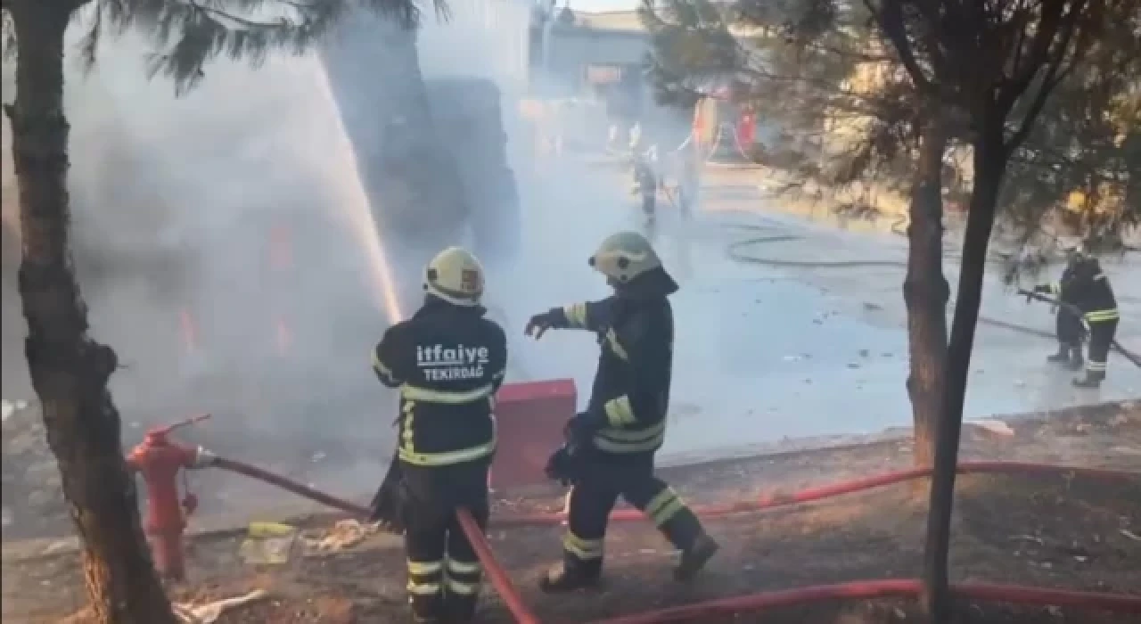 Tekirdağ’da kağıt fabrikasında yangın
