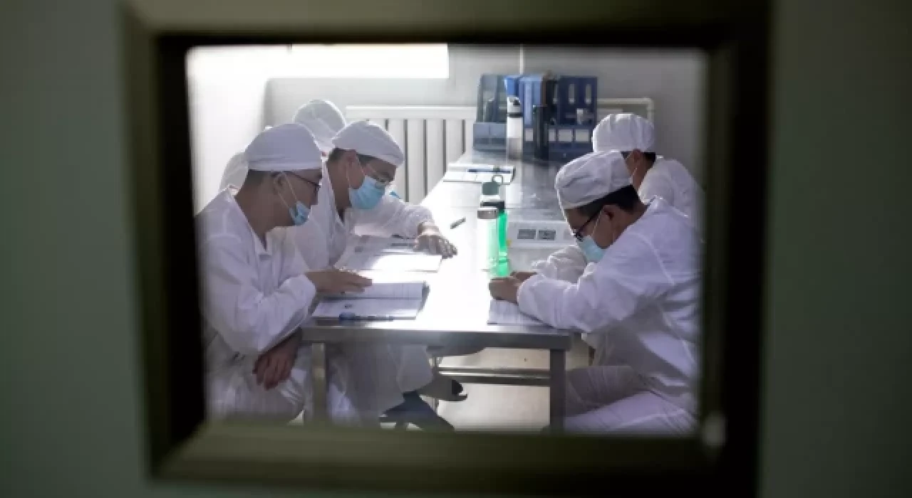 Adı yeni kondu: Bilim insanları 'Langya'yı izliyor