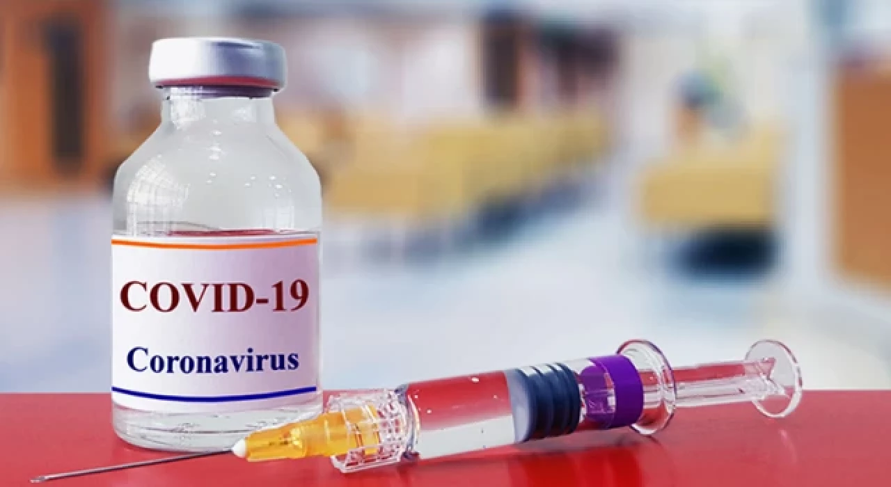 Bilim Kurulu Üyesi Kayıpmaz: Hatırlatma dozunu sonbahardan önce olun