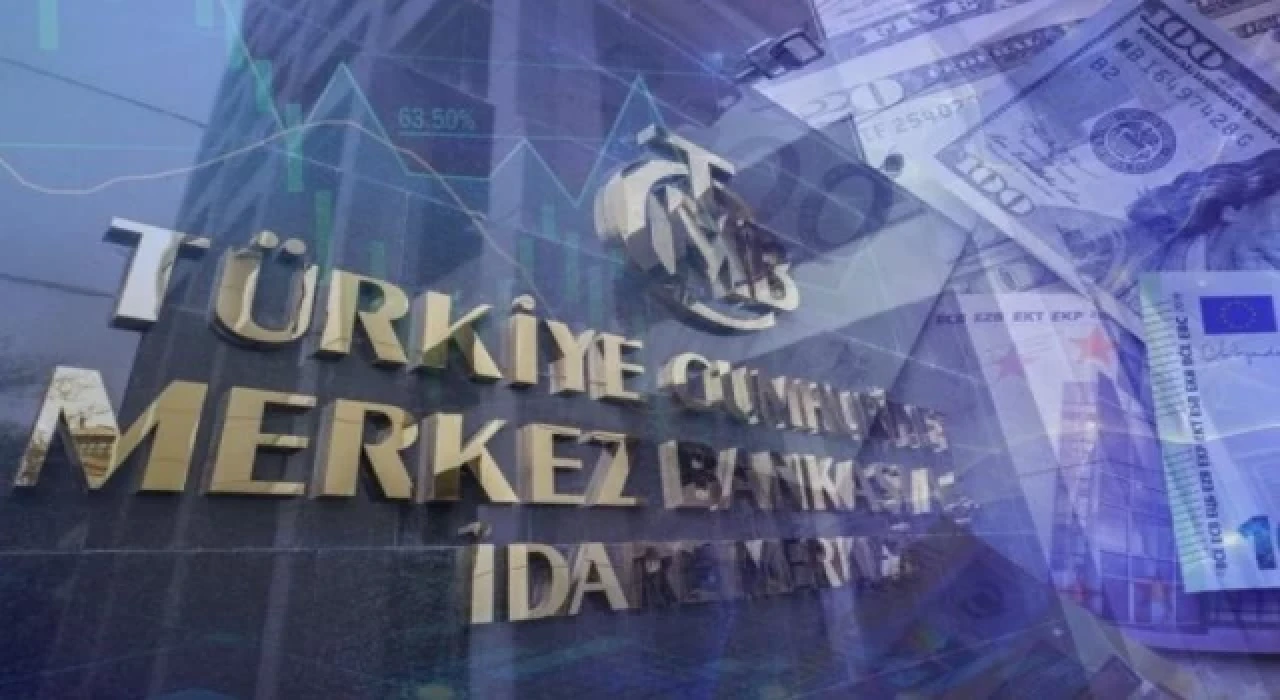 Merkez Bankası rezervleri 113,7 milyon dolar oldu
