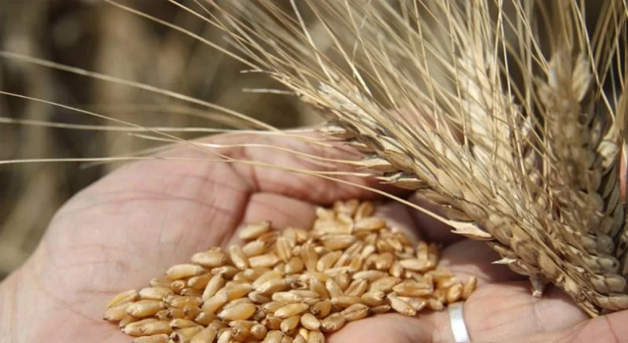 MSB: Tahıl sevkiyatında 6 gemi daha yola çıktı