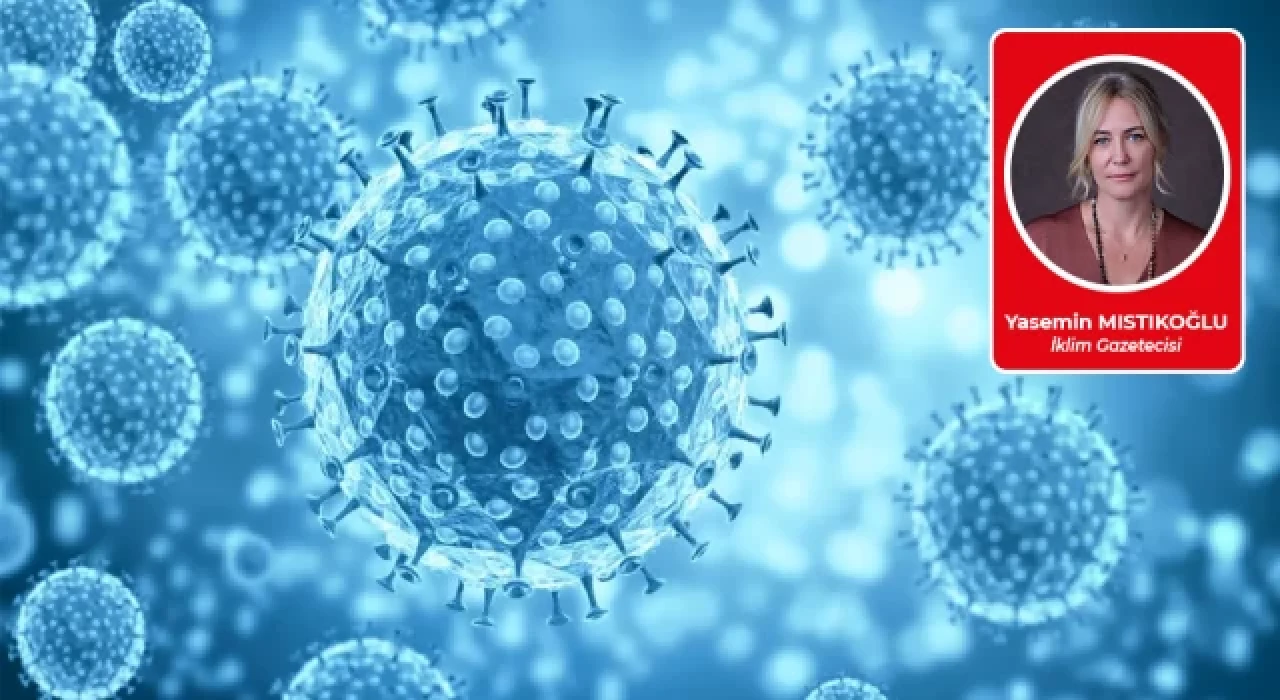 Yerlerinden ettiğimiz börtü böcekler bize hayatı zindan edebilirler