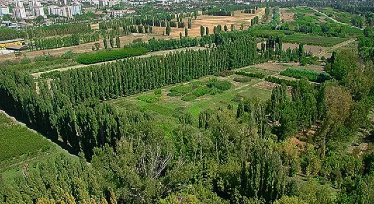 Atatürk Orman Çiftliği'nin arazi varlığı 382 dekar azaldı