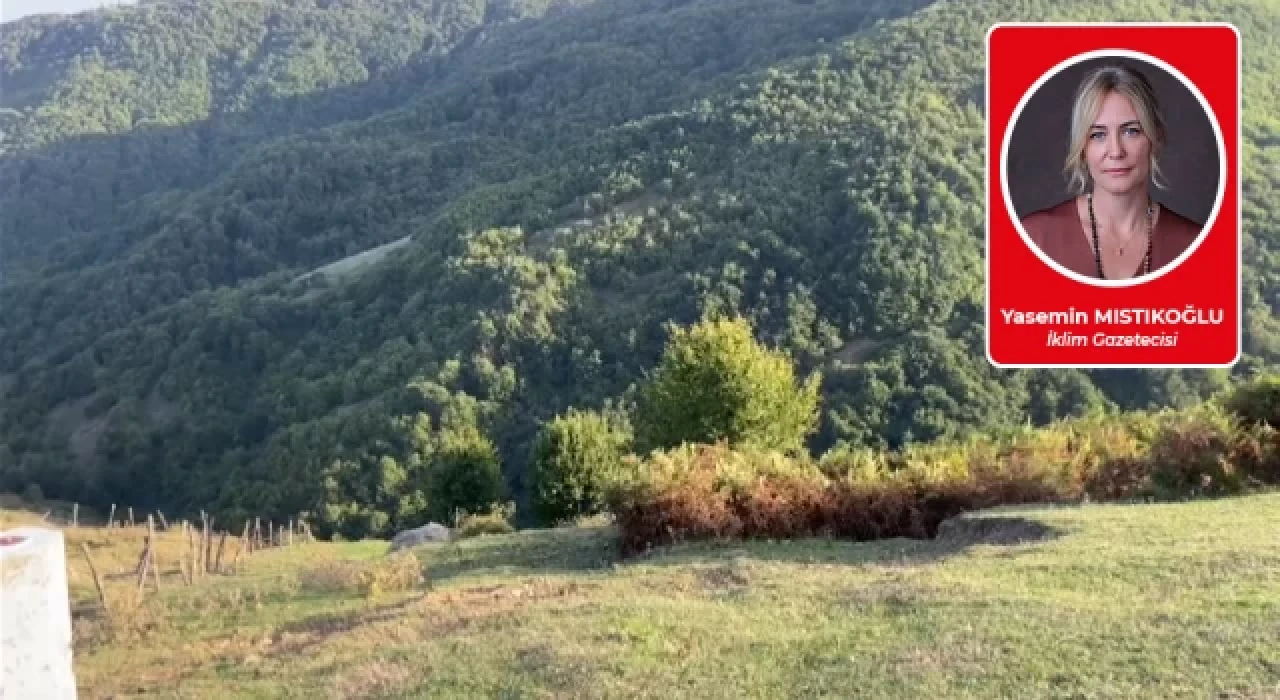 Cengiz inşaatın yeni avı Tekkeköy