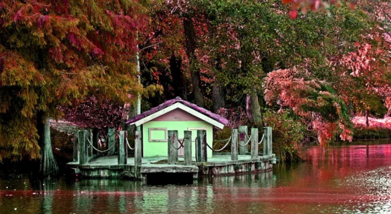 İstanbul'da sonbahar rotası önerisi: Atatürk Arboretumu