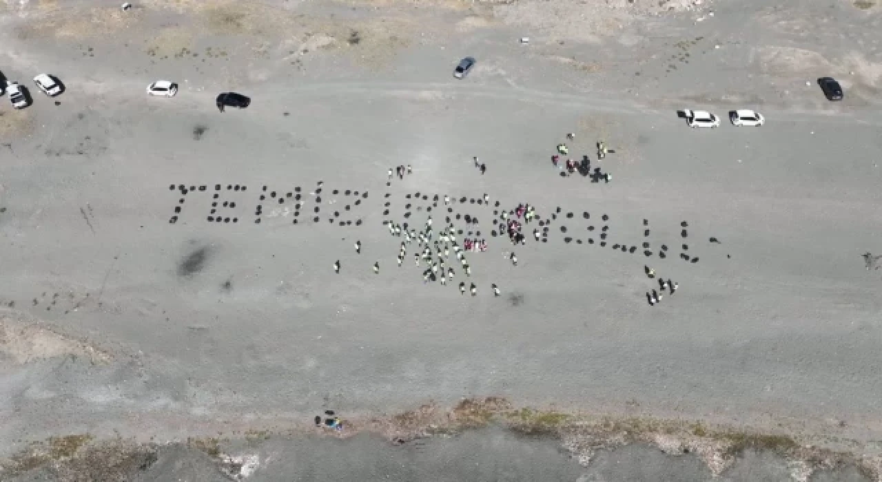 Van Gölü sahilinde 20 ton çöp toplandı