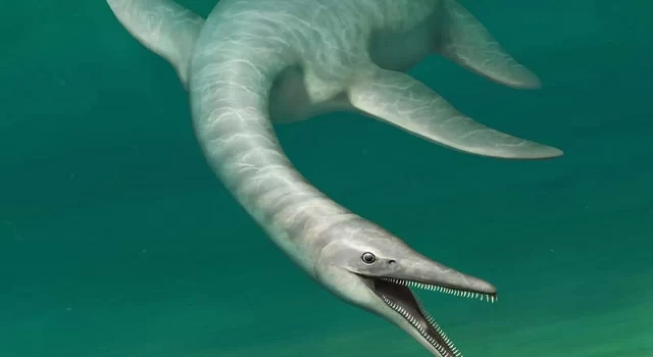 Yeni Keşif: Yılan vücutlu timsah suratlı deniz canavarı