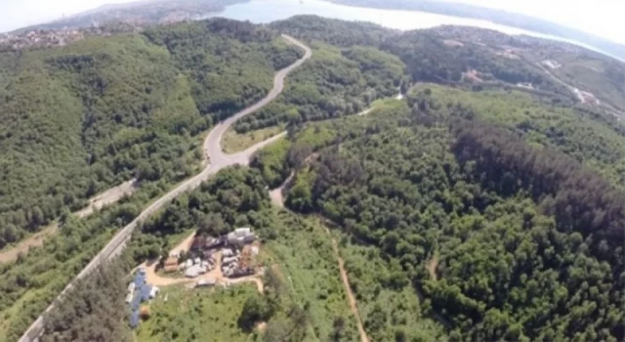 6 şehirde bazı alanlar ’sit alanı’ ve ’korunması gerekli taşınmaz kültür varlığı’ ilan edildi