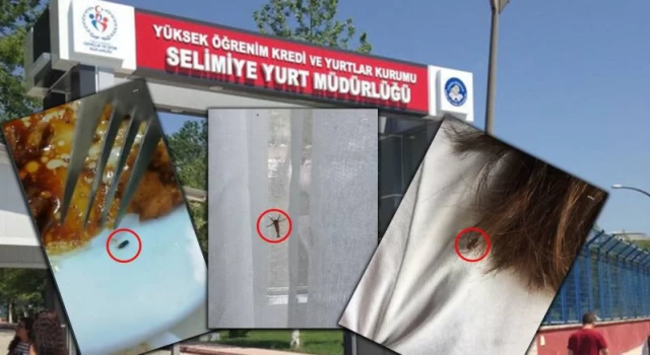 KYK yurdunda kalan öğrenciler: ‘’Sinekler, çekirgeler, böcekler; hatta bir arkadaşımızı yılan ısırdı’’