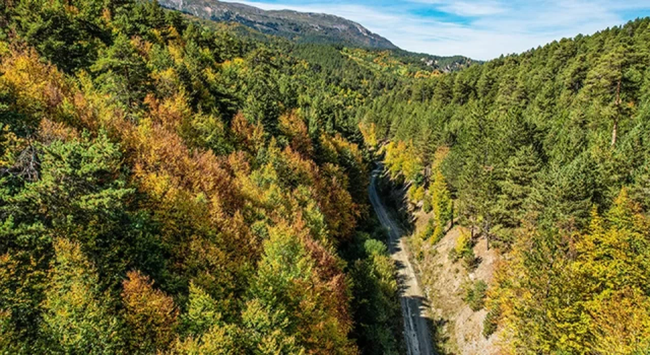 Murat Dağı sonbahar renklerine büründü