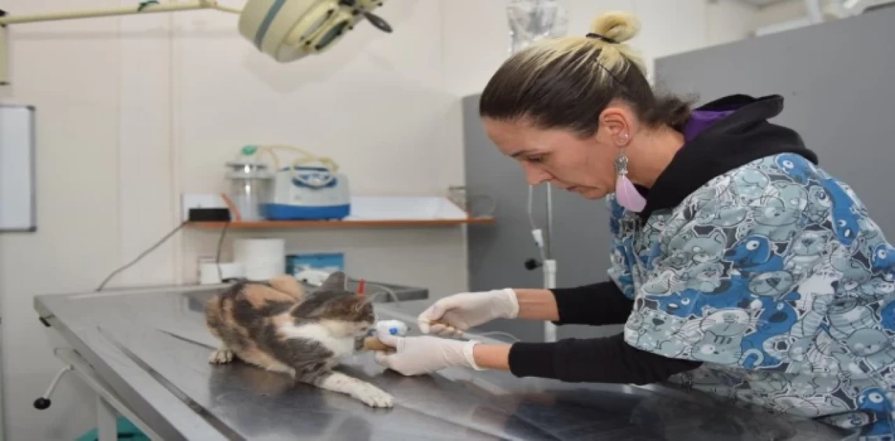 Bursa Yıldırım’da sessiz sakinlere 7/24 hizmet
