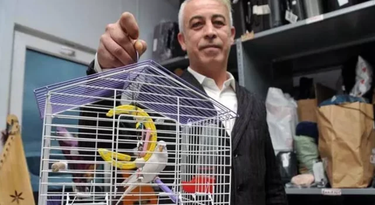 İstanbul Havalimanı otobüsünde unutuldular: 'Muhabbet kuşu, müzik aletleri, hatta çocuk'