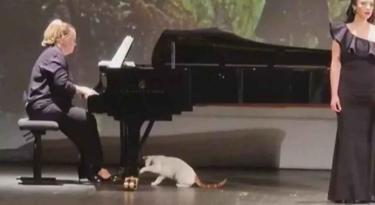 Süreyya Operası'nda kediler de sahneye çıktı