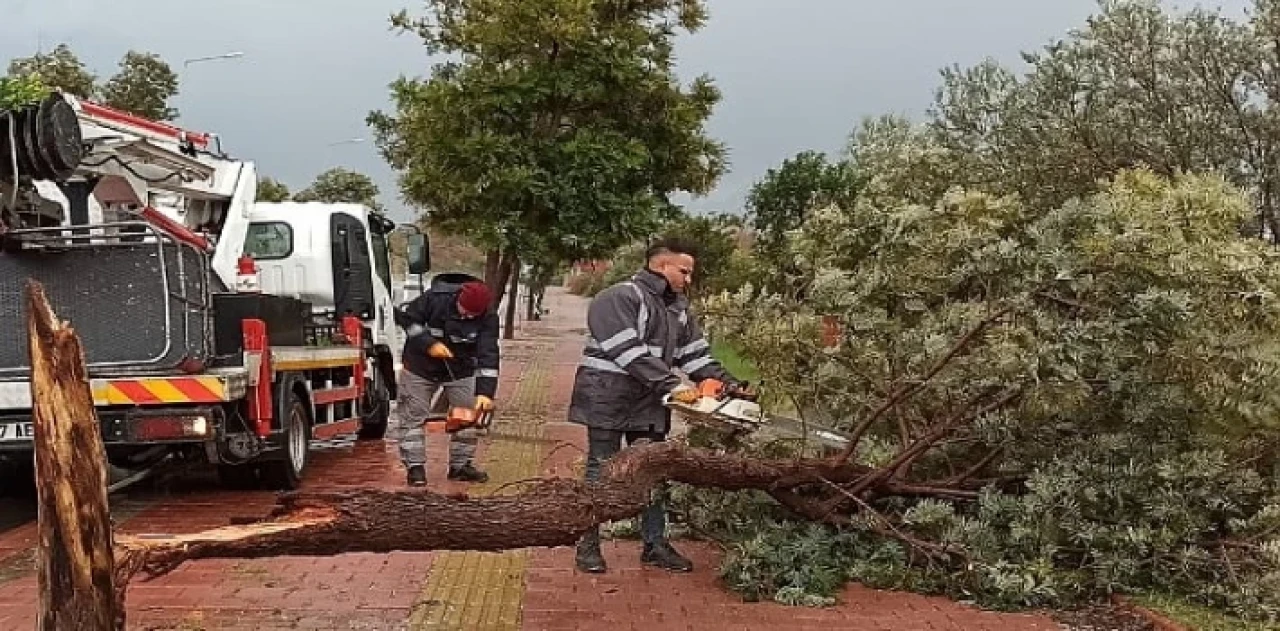 Antalya Büyükşehir’den olumsuzluklara hızlı müdahale