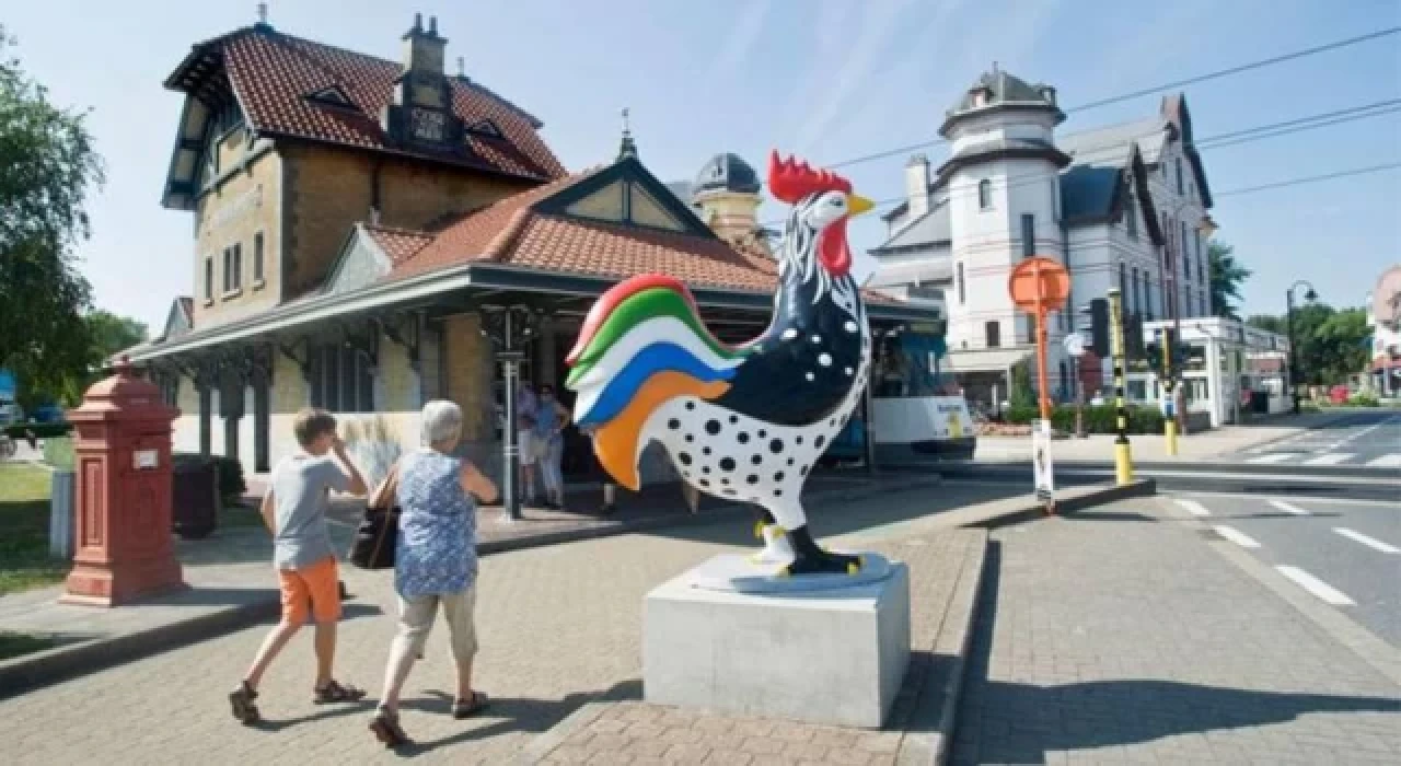 Belçika polisi çok sayıda otel, restoran ve kafeyi dolandıran ’bedavacı müşteriyi’ arıyor