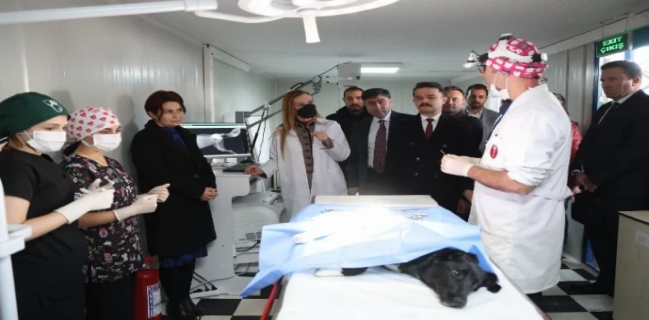 Dokuz Eylül’den can dostlara şefkat eli