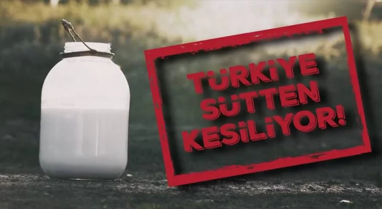 Gelecek Partisi: Türkiye sütten kesiliyor!