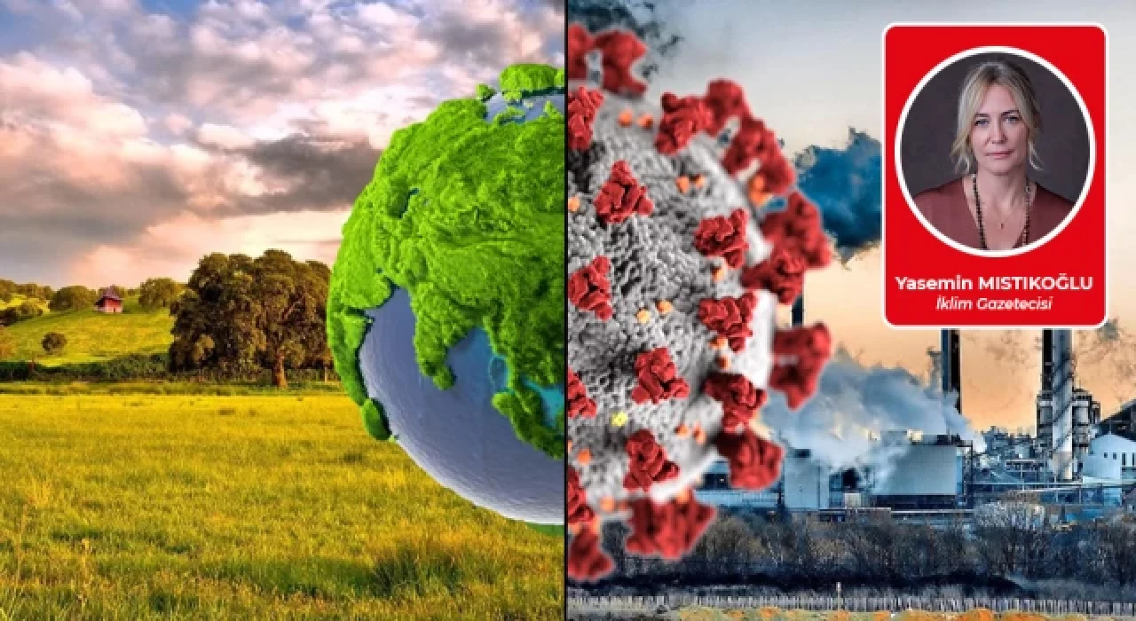 İklim krizi zenginleri vurdu