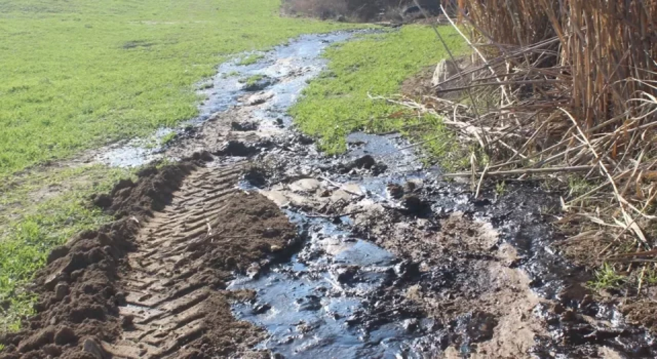 Manisa'da petrol heyecanı: Su ararken buldu