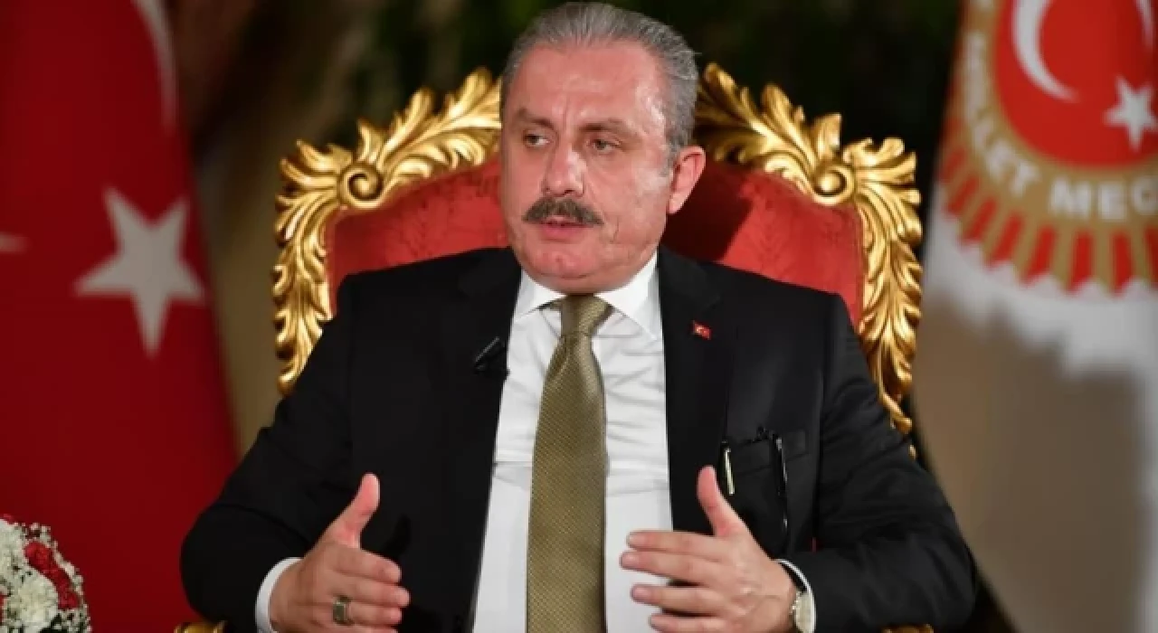 Şentop: Cumhurbaşkanı adaylığı ile ilgili 2018'de düzenleme yapılmıştı