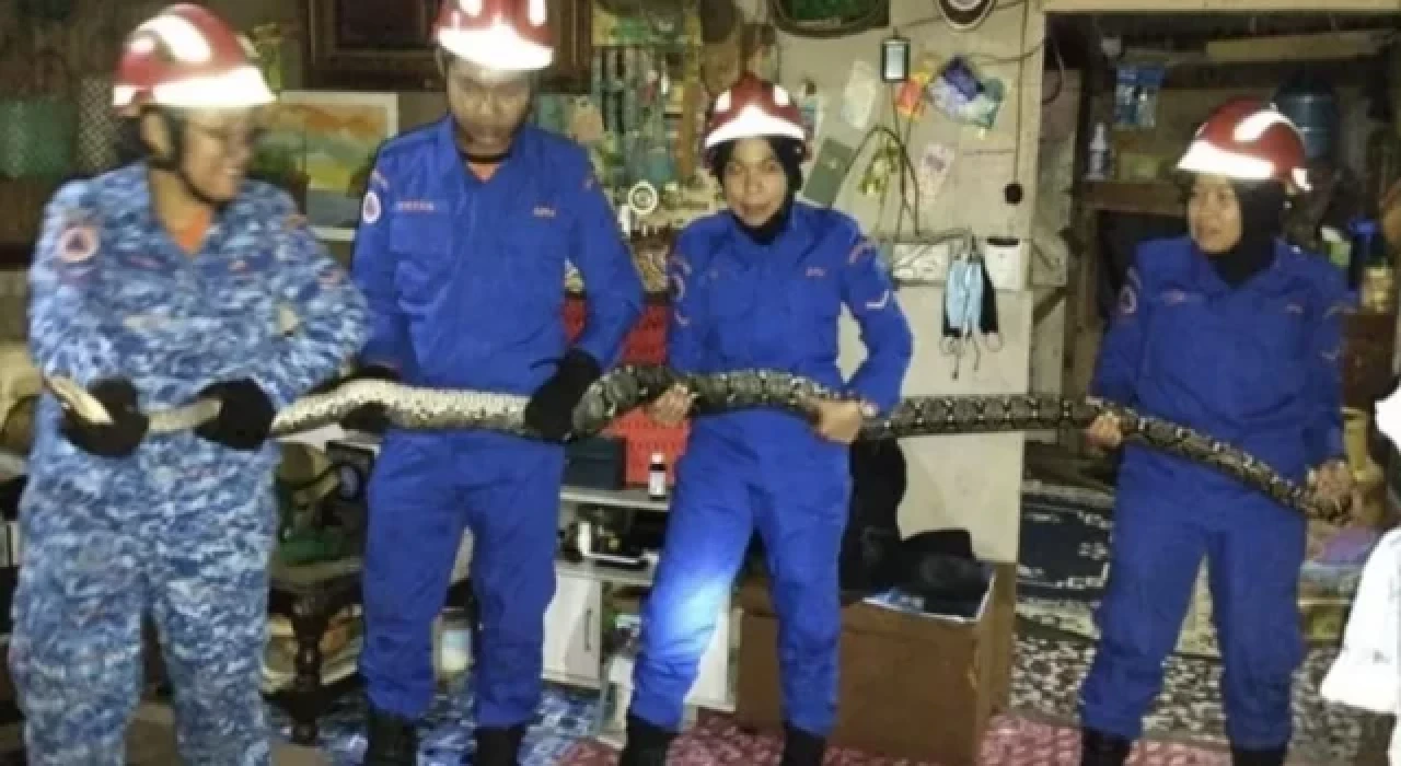 Televizyon izlerken tavandan 3 metrelik yılan düştü