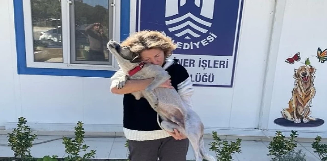 Depremden Kurtulan Ege’nin Hayvan Sevgesi