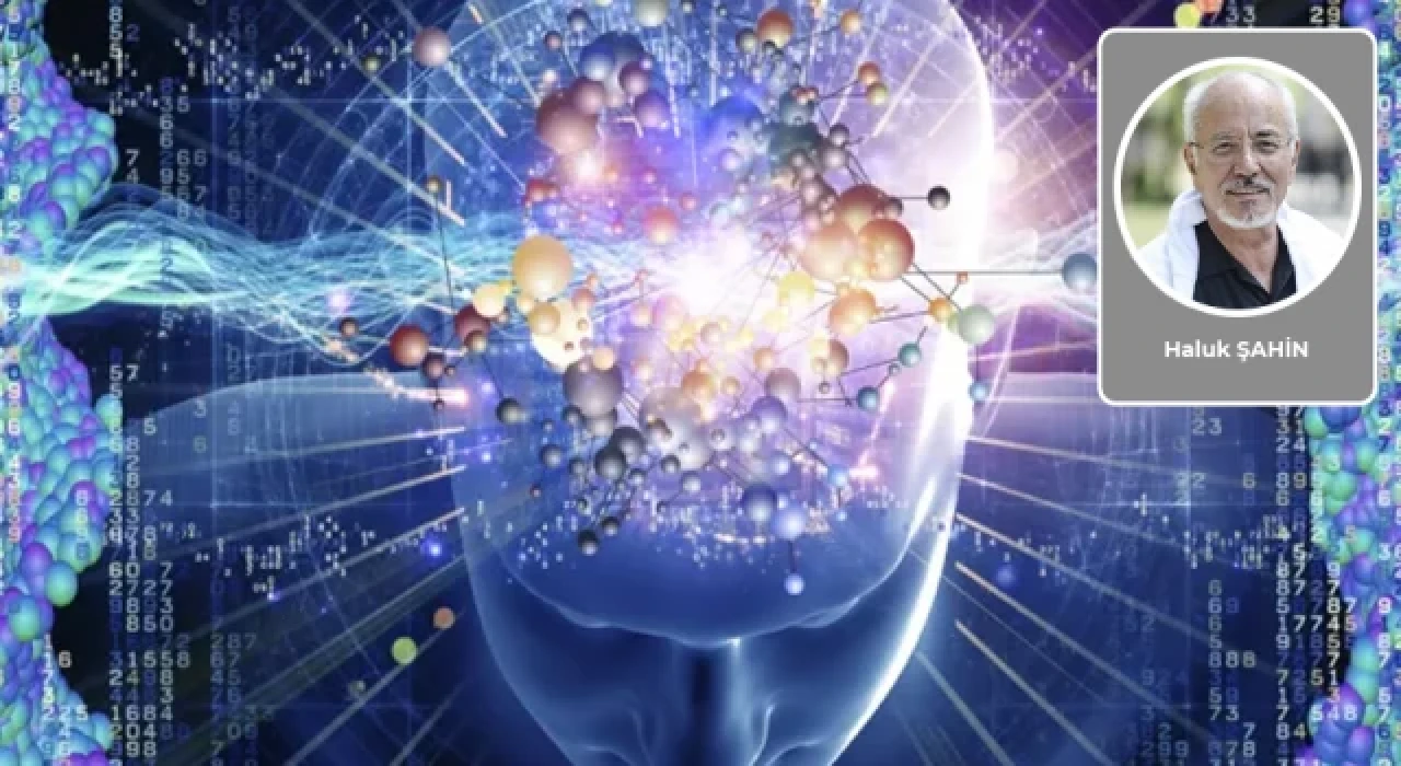 Haluk Şahin yazdı: Kara kutunun esrarı: Her şey bu kadar açıkken…