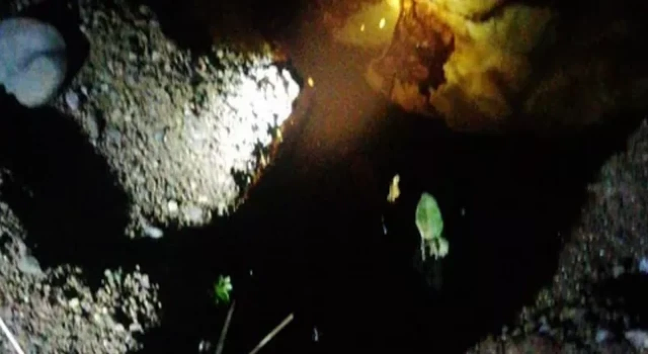 Boru hattından sızan ham petrol Dicle Nehri'ne aktı