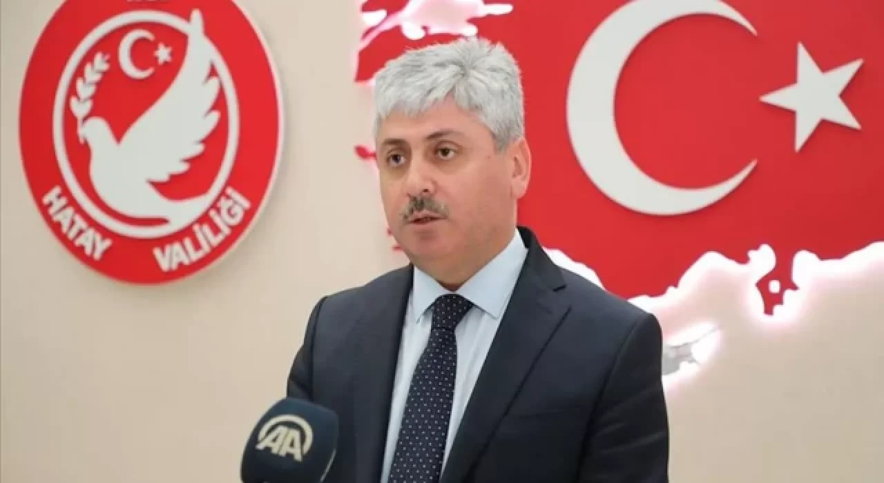 Hande Fırat'tan vekil olmak için istifa eden Hatay Valisi'ne: 'Hiç mi vicdanı sızlamadı?'