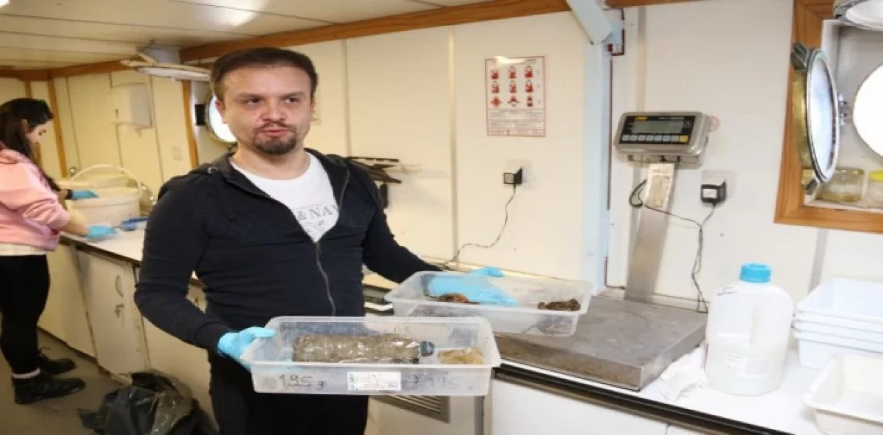 İzmit Körfezi’nde deniz yaşamı kayıt altında