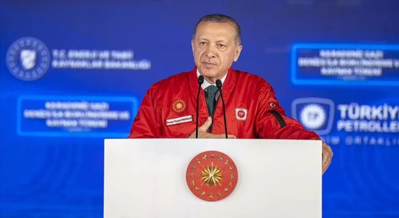 Erdoğan: 1 ay boyunca konutlardan doğal gaz ücreti almayacağız
