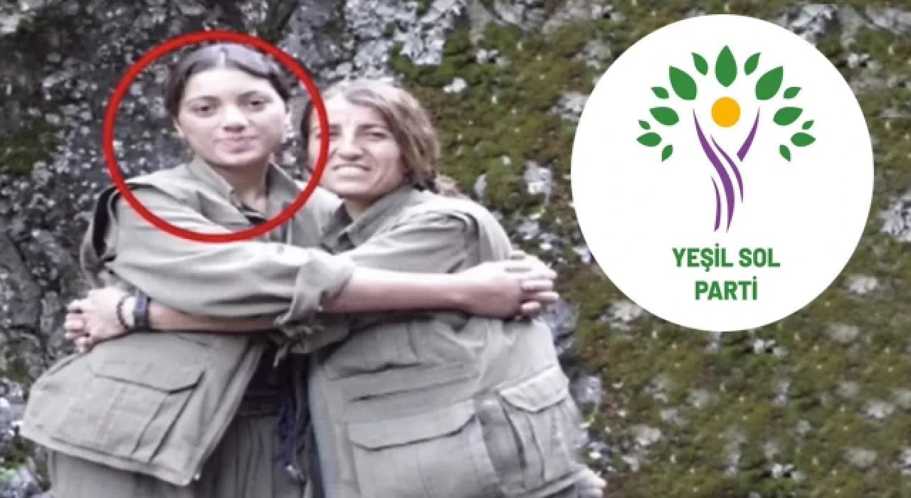 Yeşil Sol Parti milletvekili adayı Ayten Dönmez gözaltına alındı