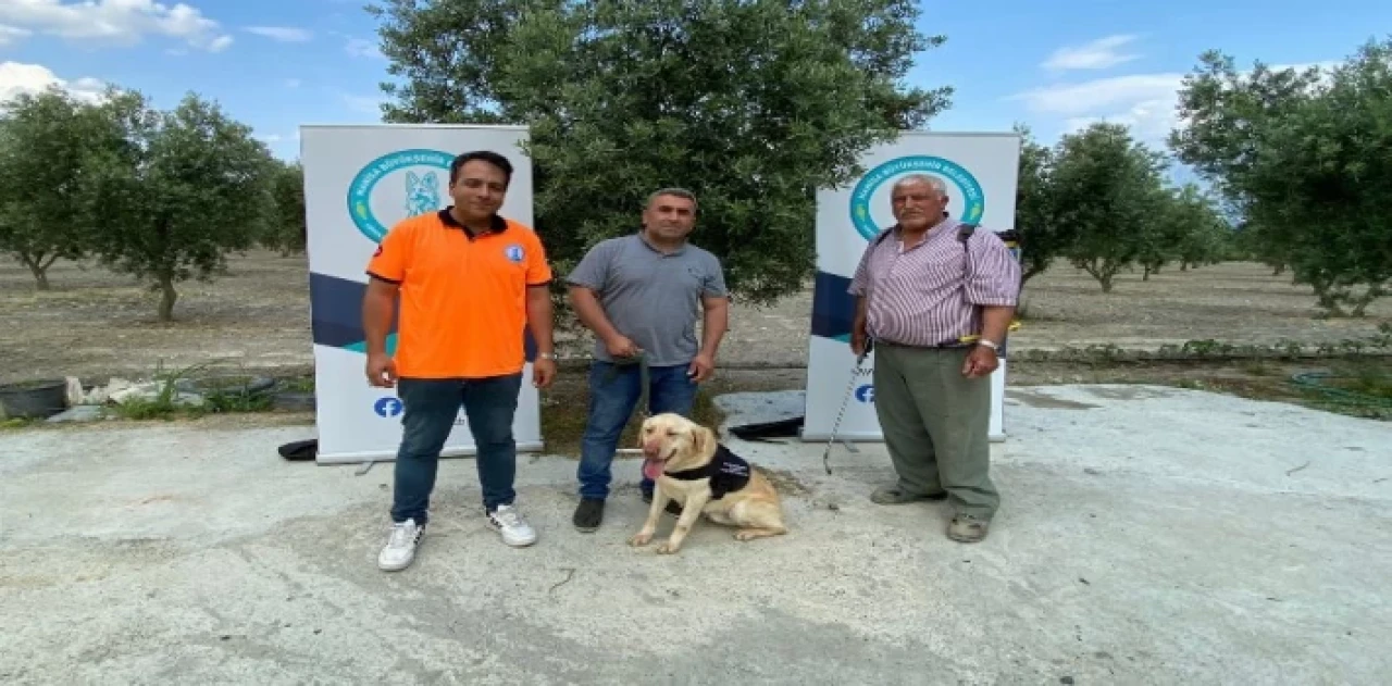 Manisa’da ’Üzüm’ çiftçinin can yoldaşı olacak