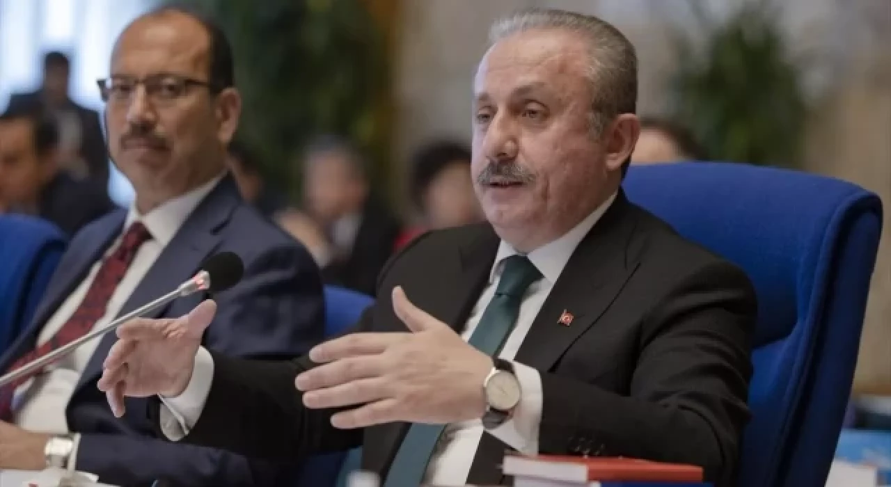 TBMM Başkanı Şentop: Mevcut bakanlar yemin etmediği sürece görevlerine devam edebilir
