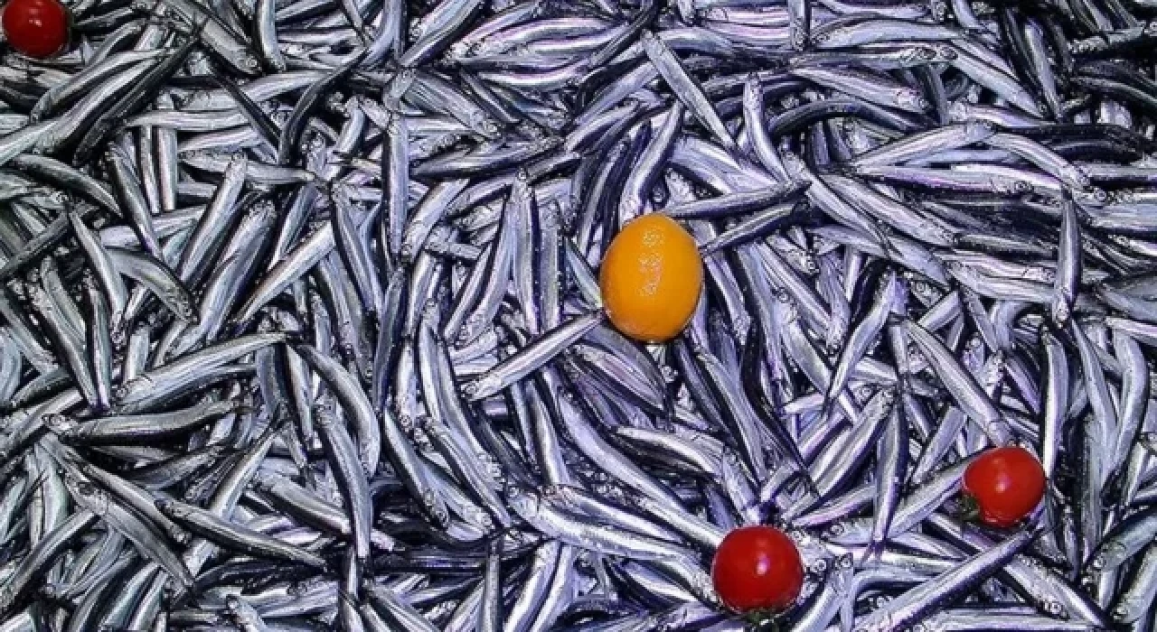 Türkiye'den 4 ayda yaklaşık 3,9 milyon dolarlık hamsi ihraç edildi