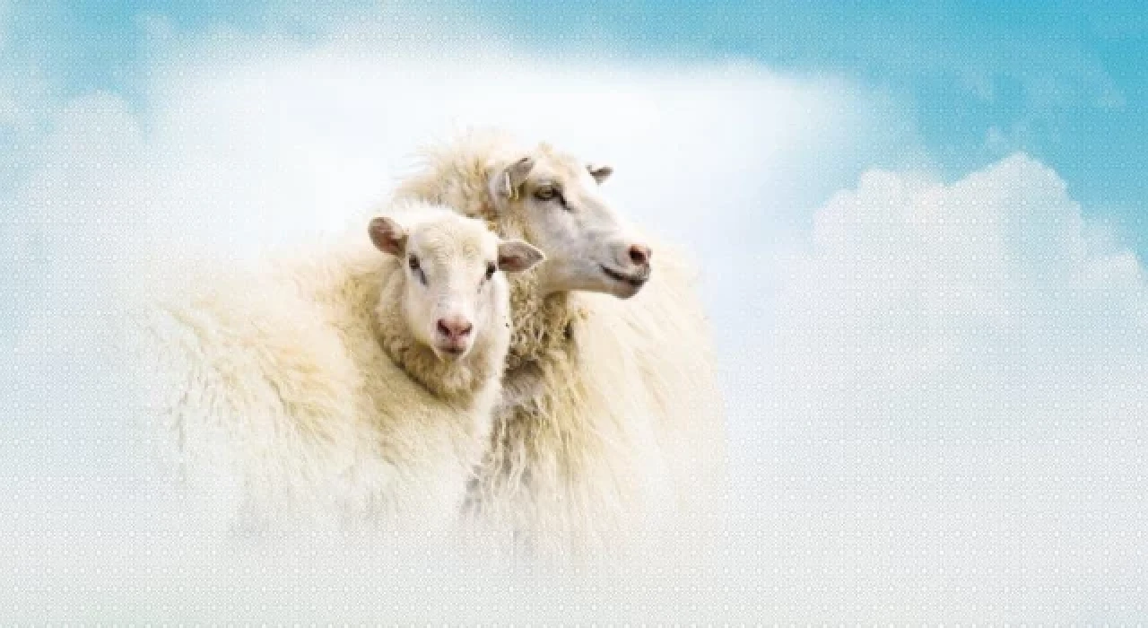 Bayramımız mübarek olsun!