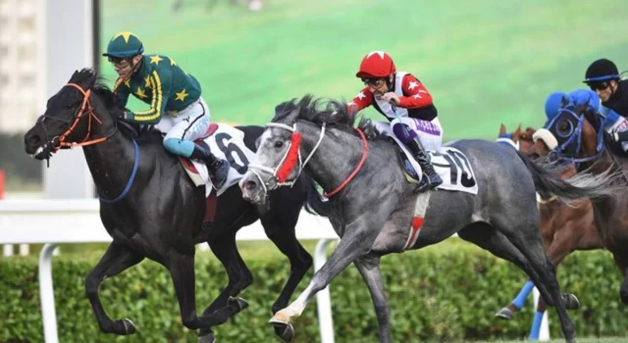 Gazi Koşusu'na katılacak atlar belli oldu