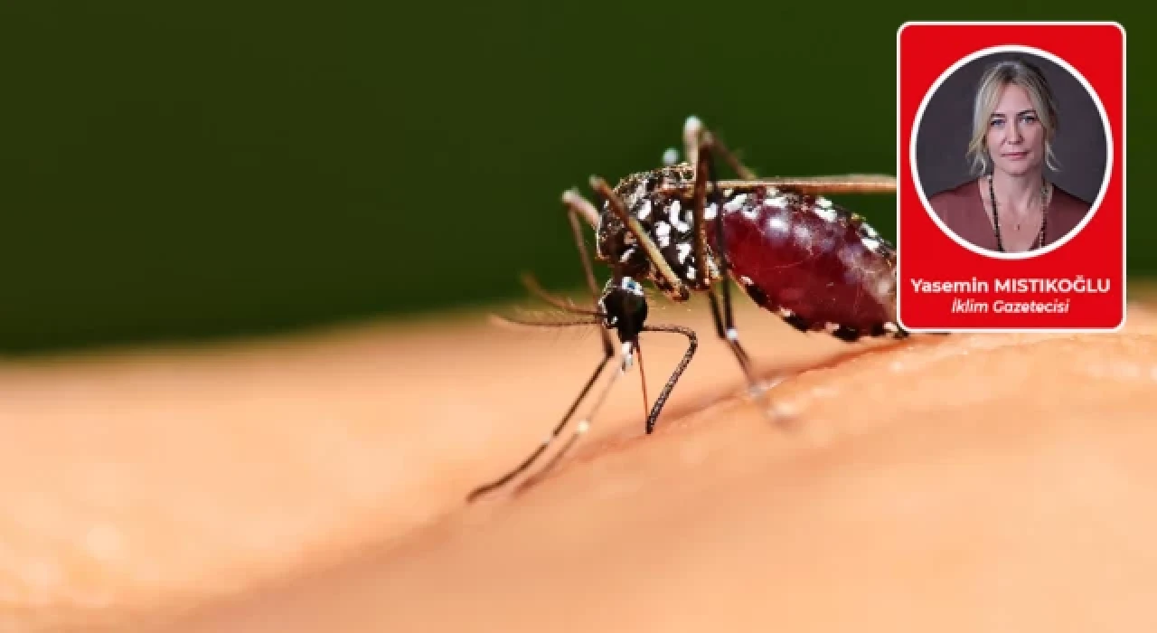 5 milyar insan için ölüm kalım savaşı