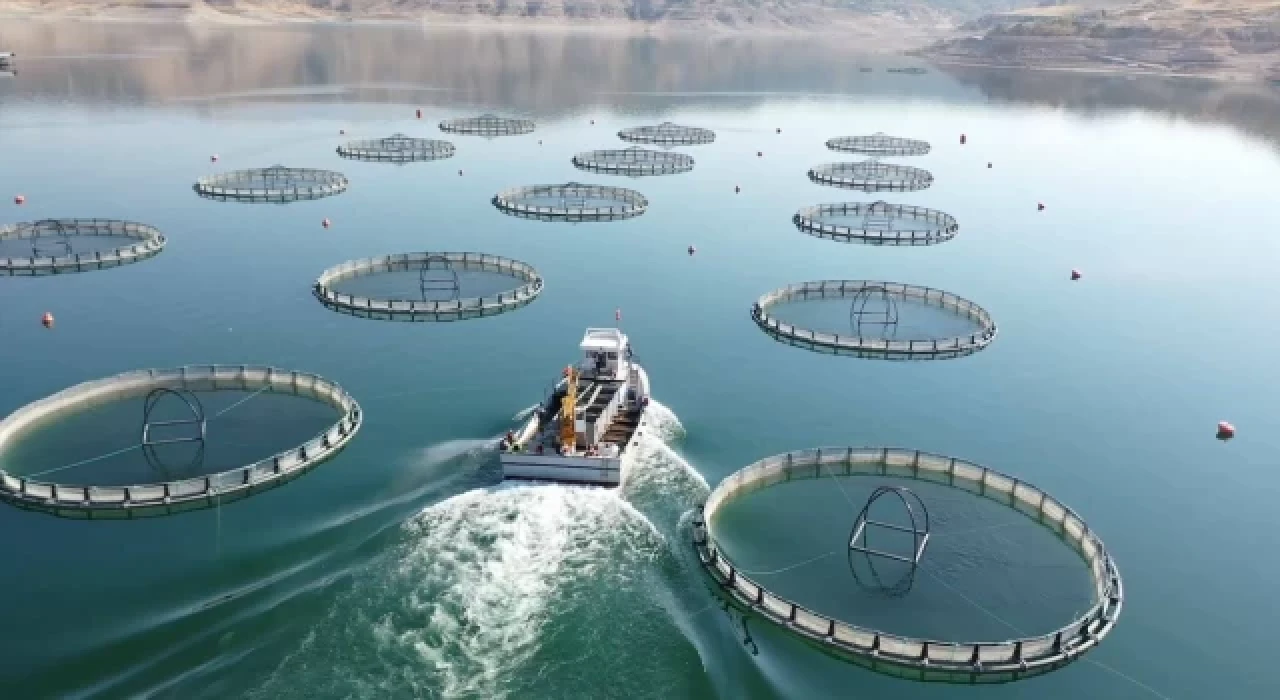 Bakan Yumaklı: Uygun alanlarda istiridye yetiştiriciliğini başlatmayı planlıyoruz