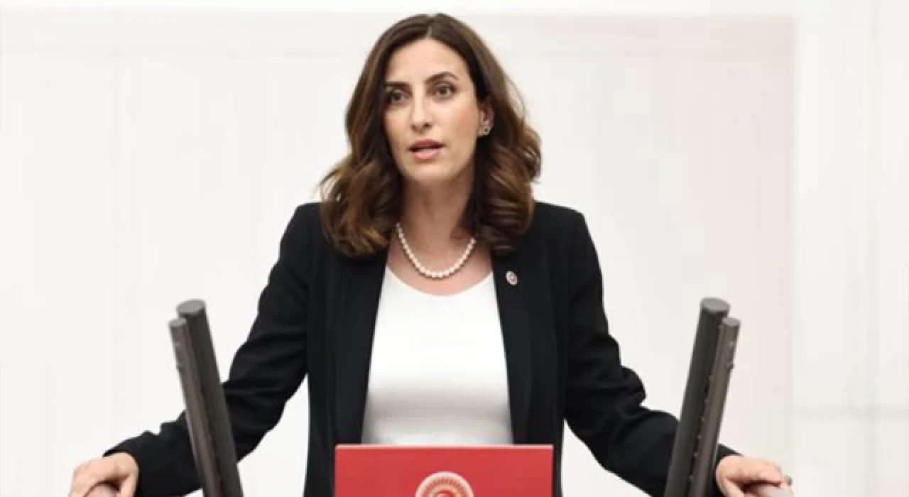 Evrim Rızvanoğlu: İstanbul’da 2004-2017 arasında 20 sıcak dalgasında 4 bin 281 kişi hayatını kaybetti