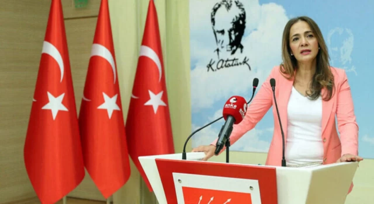 CHP'li İlgezdi: Milli parklar talana açılıyor