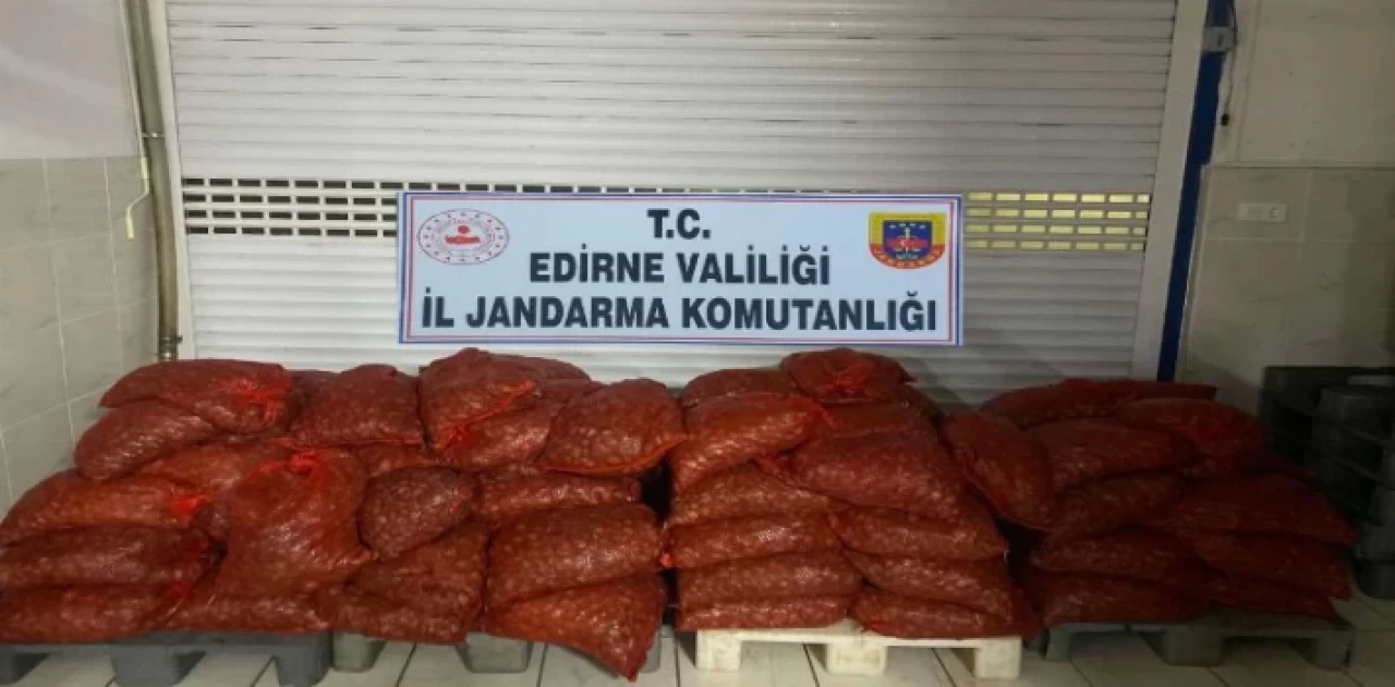 Enez’de kaçak kum midyesi yakalandı