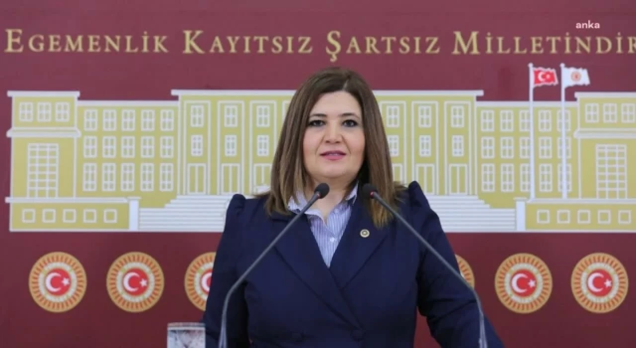 İYİ Partili Selcan Hamşıoğlu: Bu çağda "saray sanatçısı" diye bir kavramın oluşmuş olmasından rahatsızlık duymuyor musunuz?