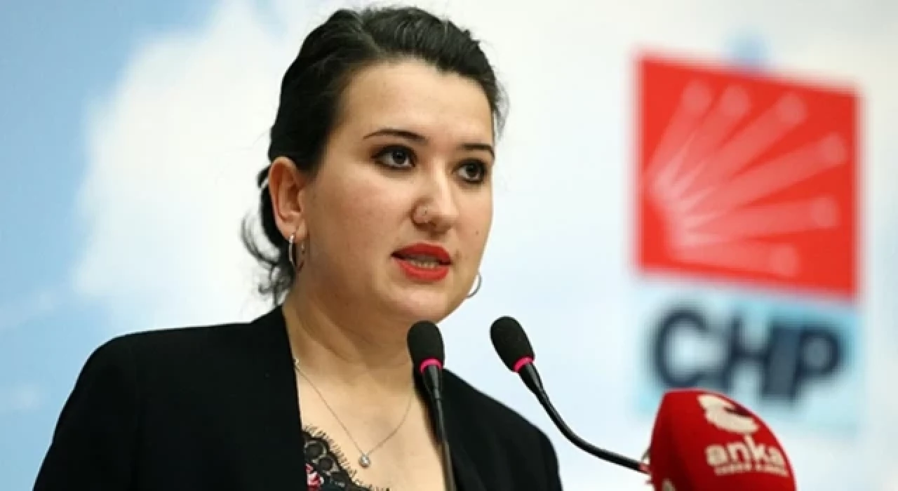 CHP Genel Başkan Yardımcısı Gökçe Gökçen'den Meriç Demir Karaman'ın çağrısına destek