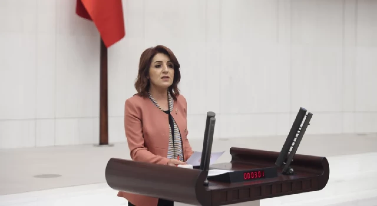 CHP’li Gülcan Kış, AKP’nin ülkenin gerçeklerinden koptuğunu söyledi: “Bu bütçe yoksulluk bütçesi”