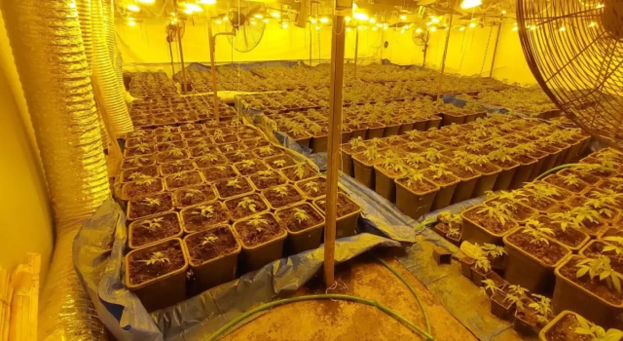 Dışı fabrika içi uyuşturucu serası: Gizli odalarda çok sayıda malzeme ele geçirildi